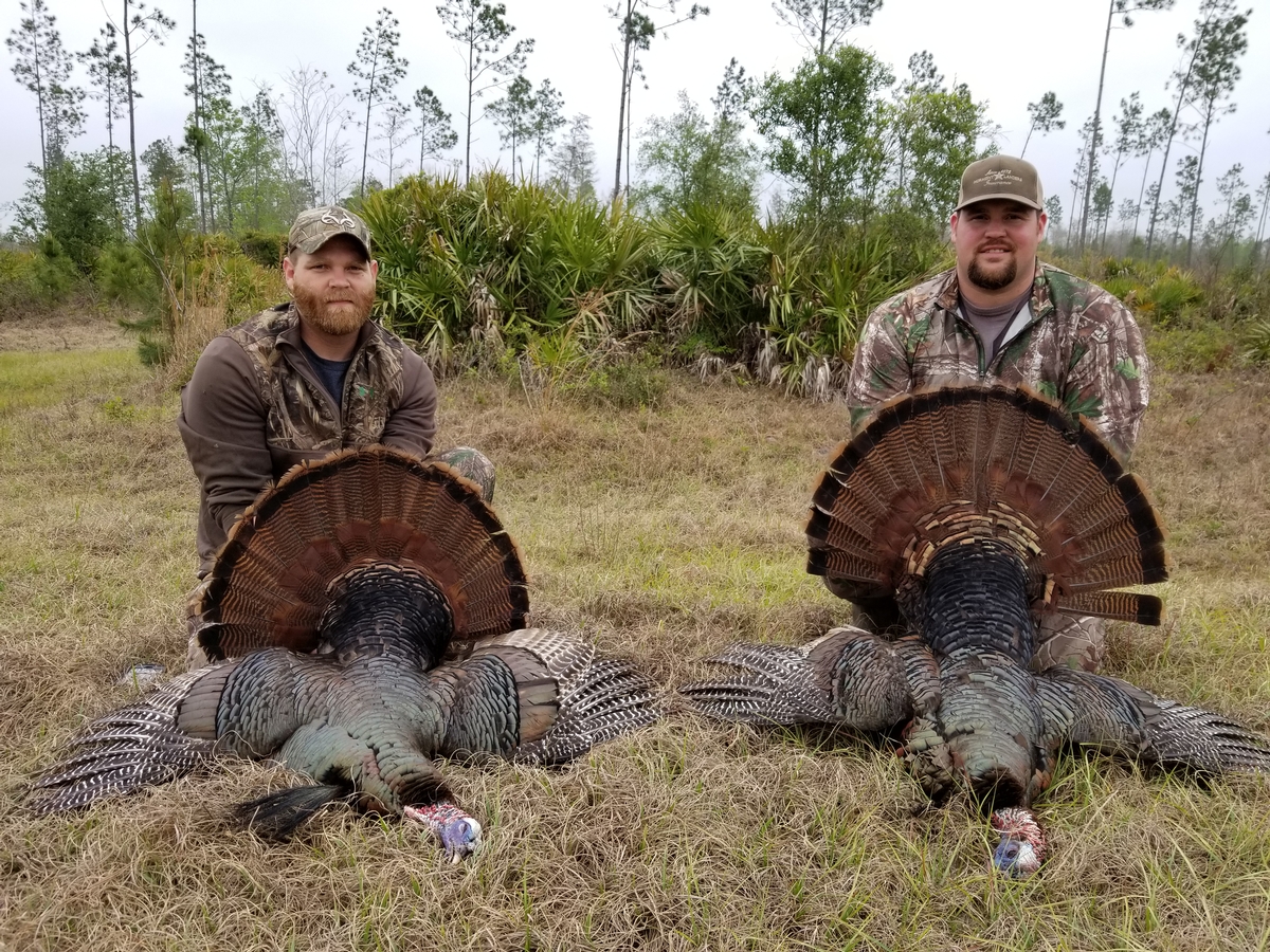 Page 4 5 Black Tine Outfitters Osceola Turkey Hunting Photo Gallery Page 4 5 Black Tine Outfitters Osceola Turkey Hunting Photo Gallery